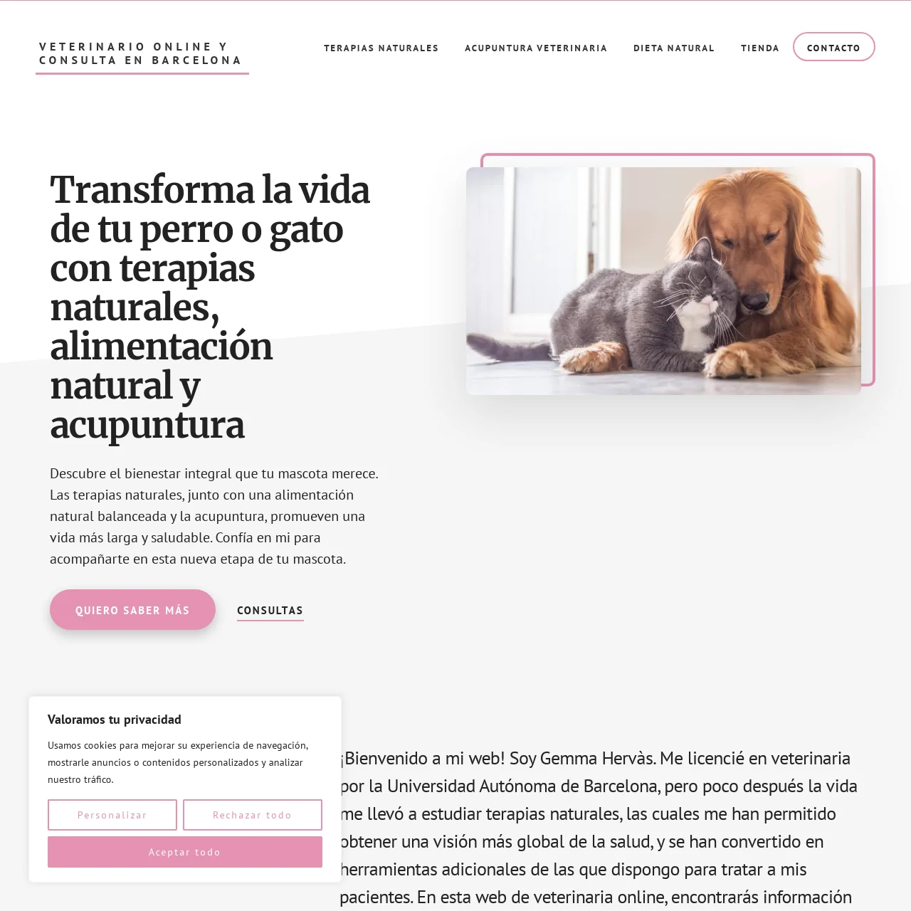 Web de Gemma Hervás